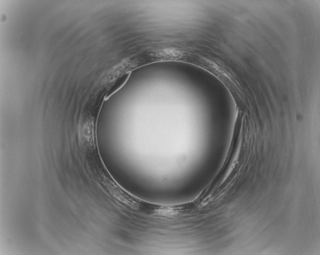 X0000059100425200510211637