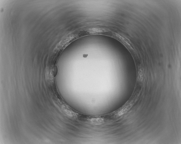 X0000059100426200510211637