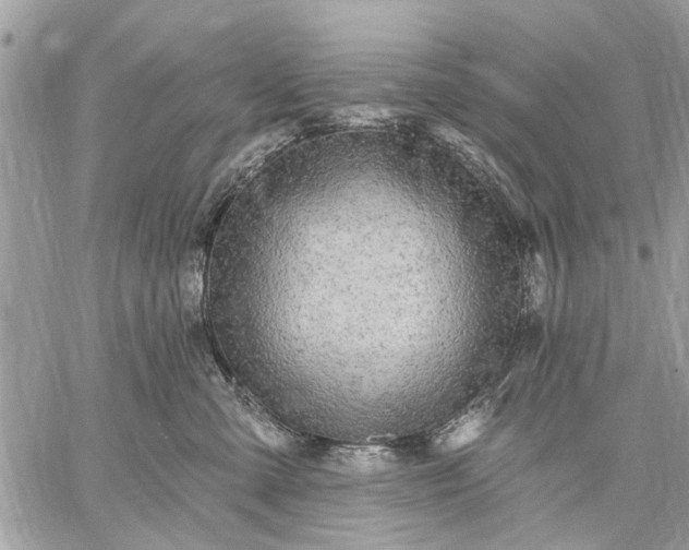 X0000059100427200510211637