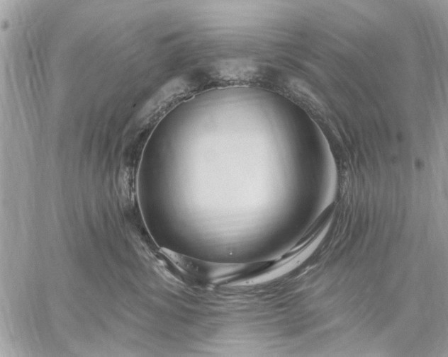 X0000059100428200510211637