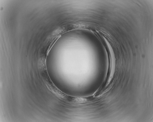 X0000059100429200510211637