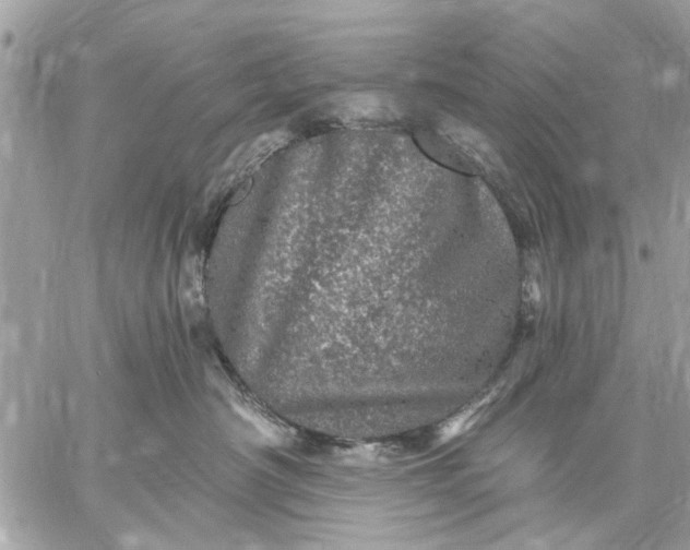 X0000059100430200510211637