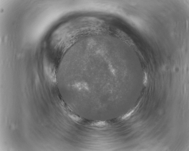 X0000059100431200510211637