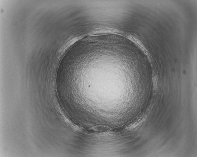 X0000059100433200510211636