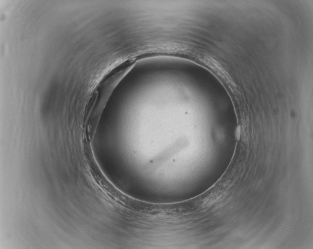 X0000059100434200510211636