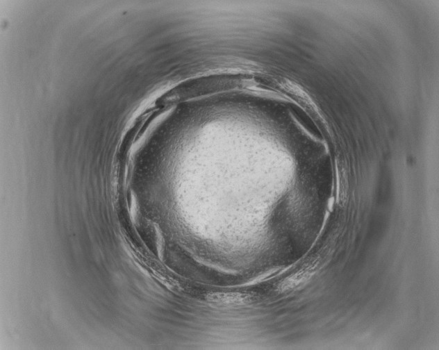 X0000059100435200510211636