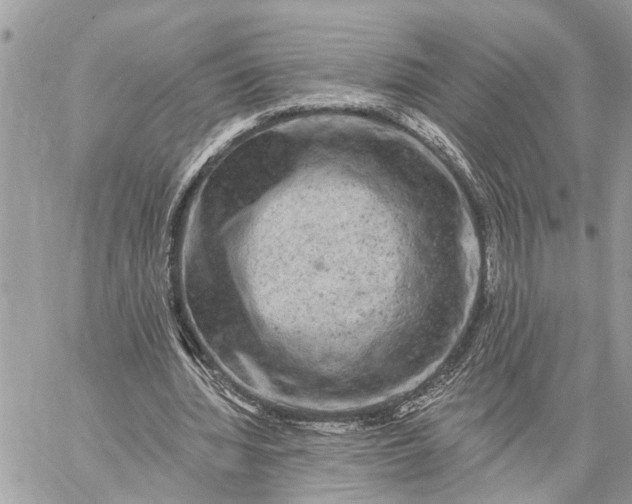 X0000059100436200510211636