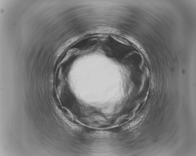 X0000059100437200510211636