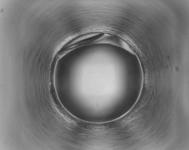 X0000059100438200510211636