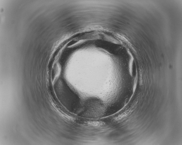 X0000059100439200510211636