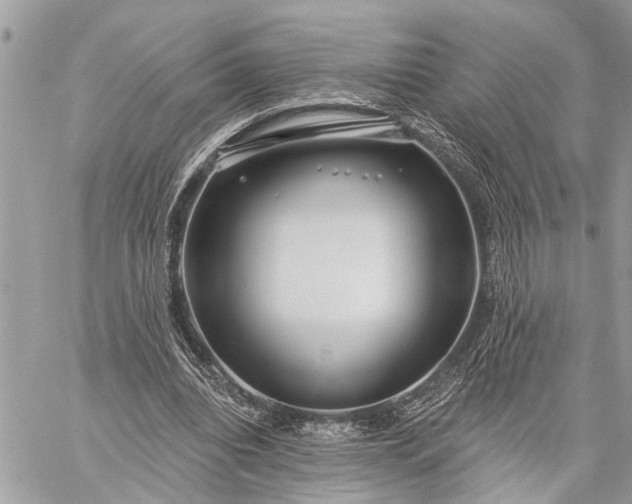 X0000059100440200510211636