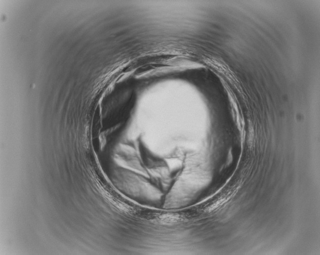 X0000059100441200510211636