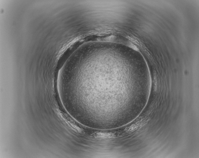 X0000059100442200510211636