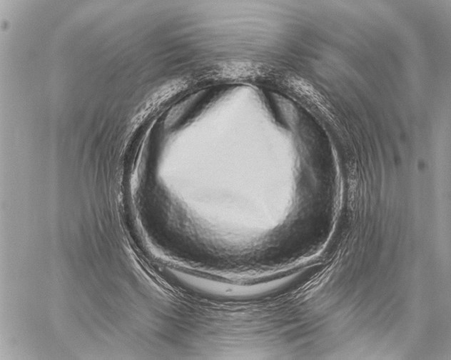 X0000059100443200510211636