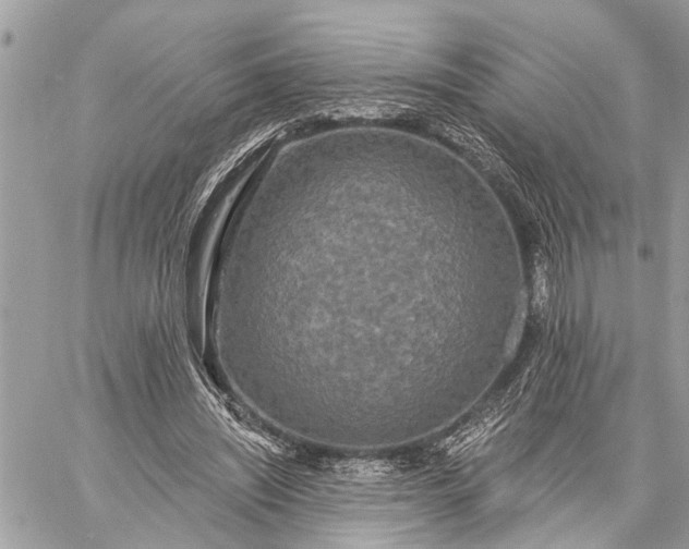 X0000059100444200510211636