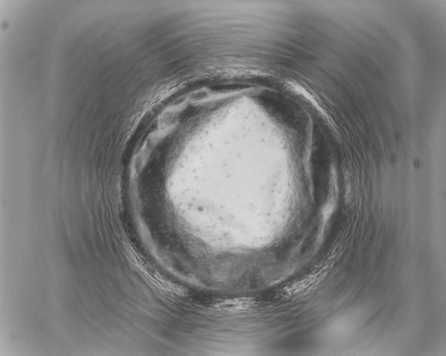 X0000059100447200510211636