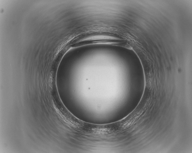 X0000059100448200510211636