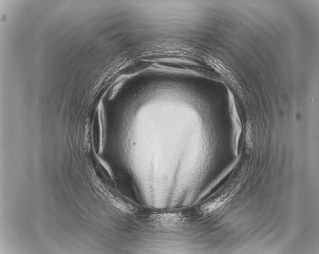 X0000059100449200510211636