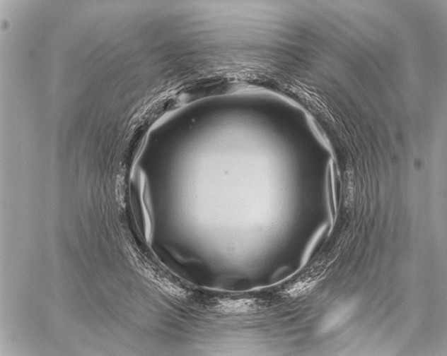 X0000059100450200510211636