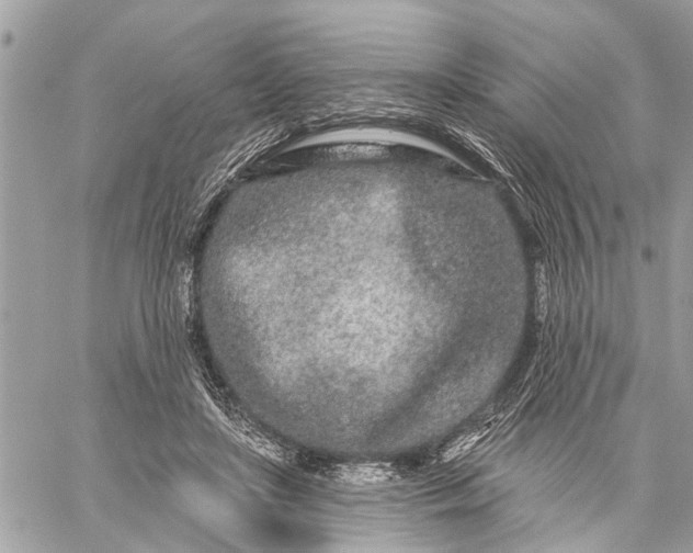 X0000059100451200510211636