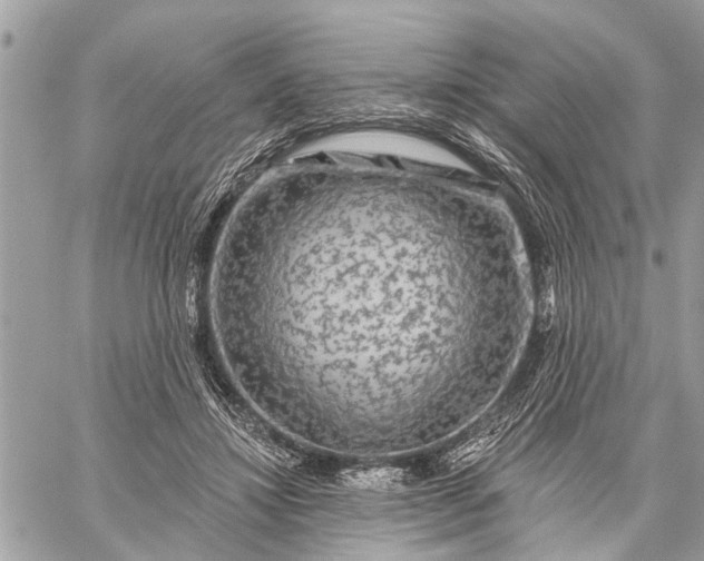 X0000059100452200510211636