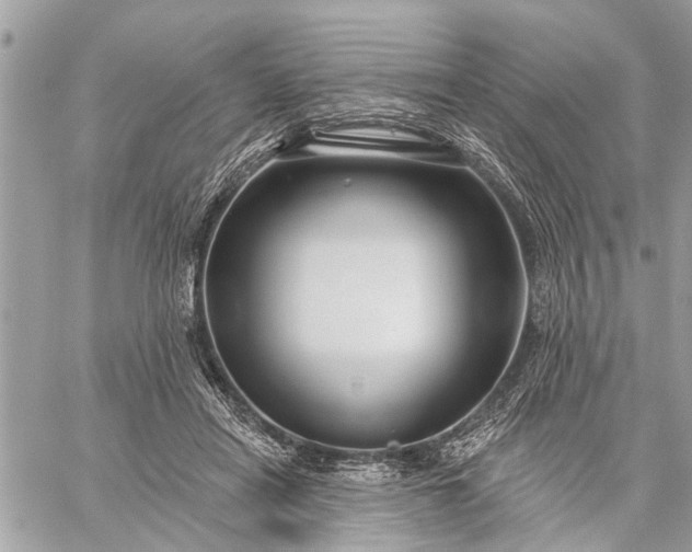 X0000059100454200510211637