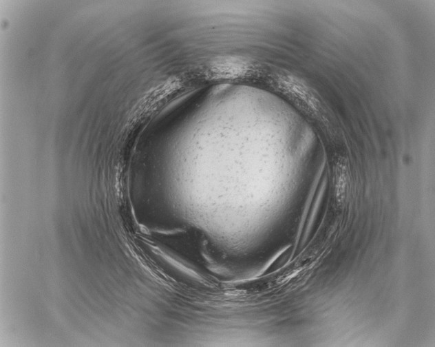 X0000059100455200510211637