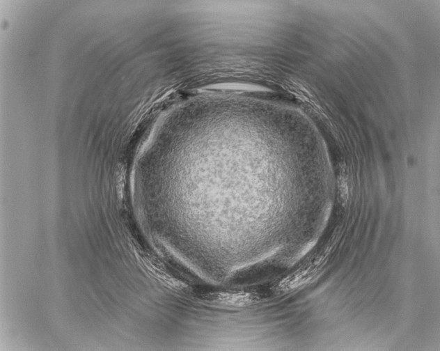 X0000059100458200510211637