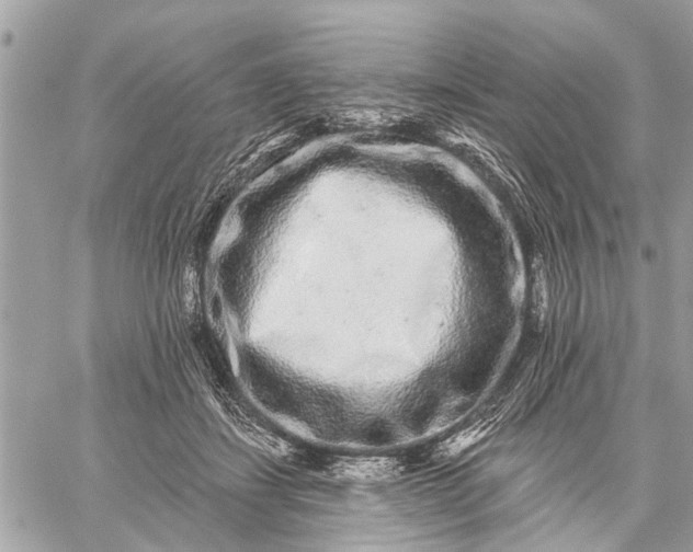 X0000059100459200510211637