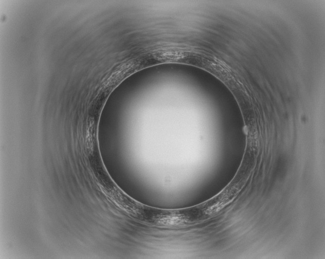 X0000059100460200510211637