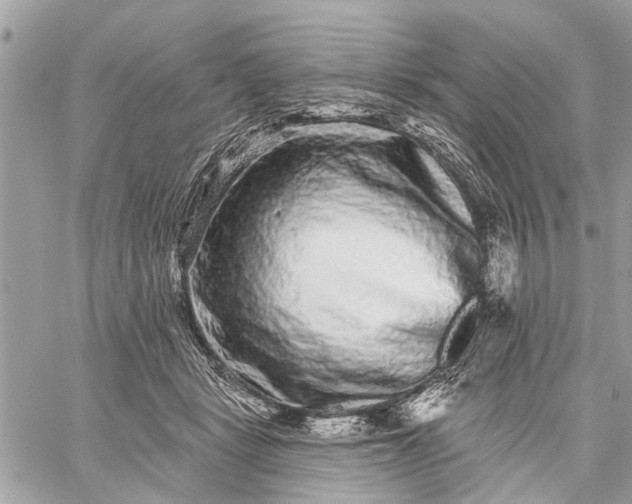 X0000059100461200510211637