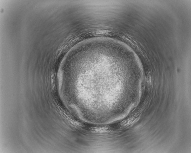 X0000059100462200510211637