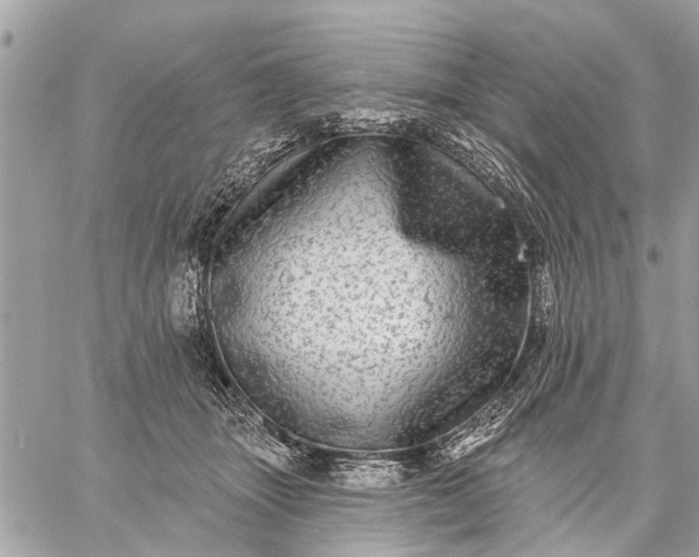 X0000059100463200510211637