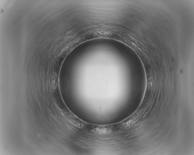 X0000059100464200510211637