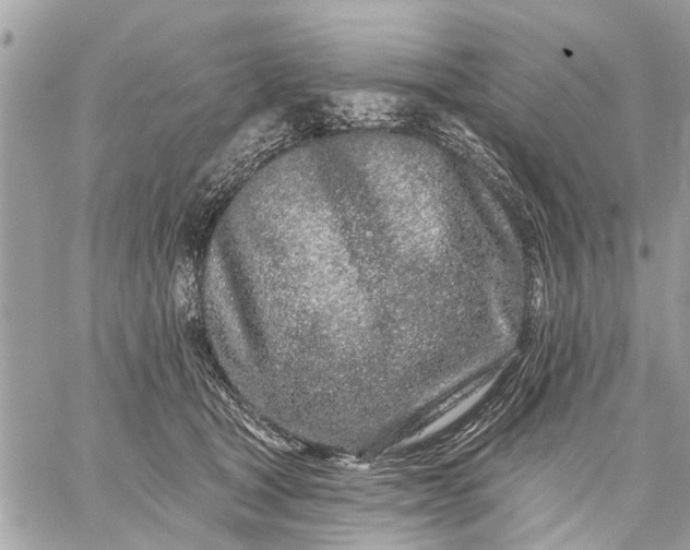 X0000059100465200510211637