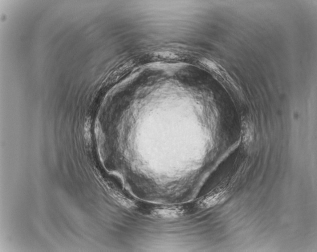 X0000059100466200510211637