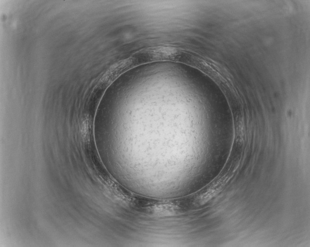 X0000059100468200510211637