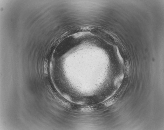 X0000059100470200510211637