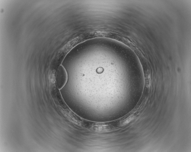 X0000059100472200510211637