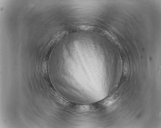 X0000059100473200510211637