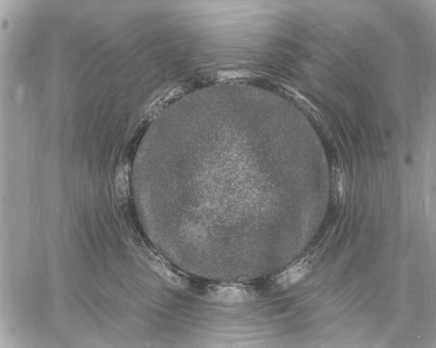 X0000059100475200510211637