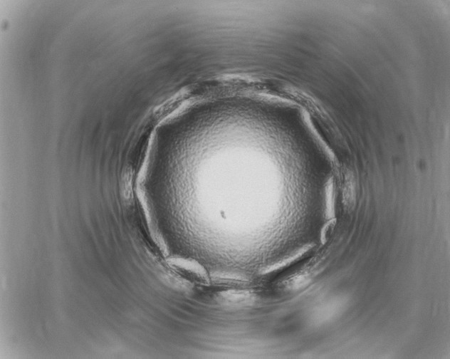 X0000059100477200510211637