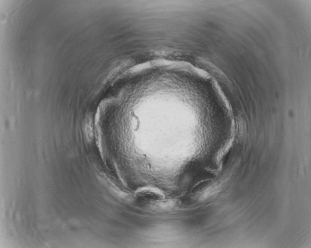 X0000059100479200510211637