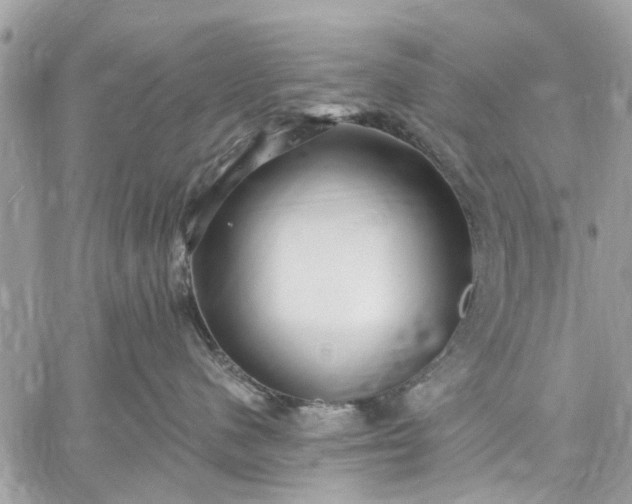 X0000059100480200510211637