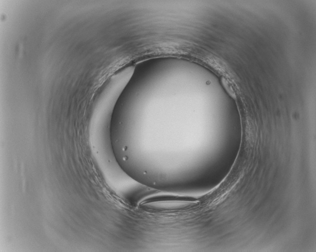 X0000059100481200510211636