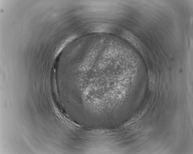 X0000059100482200510211636