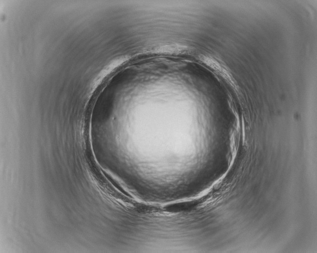 X0000059100483200510211636