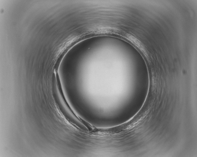 X0000059100485200510211636