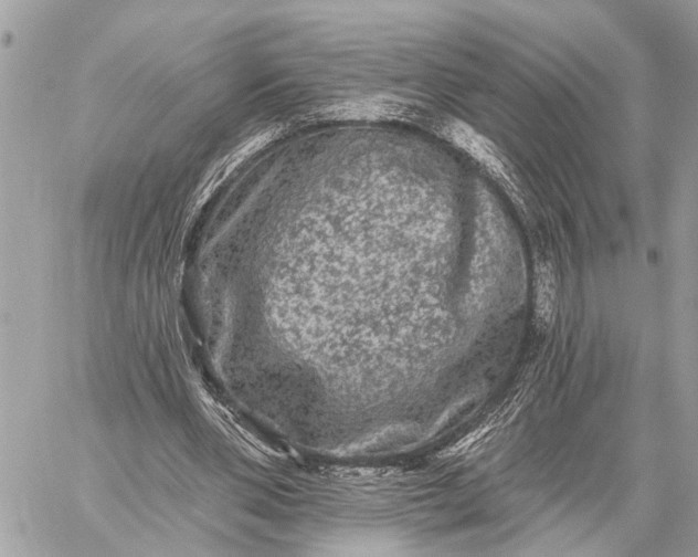 X0000059100486200510211636