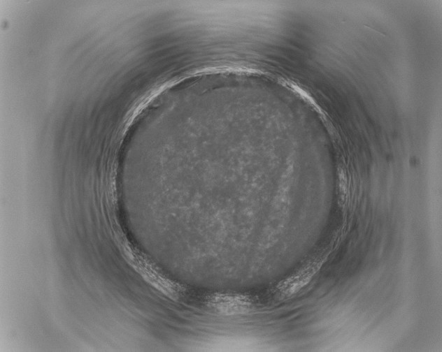 X0000059100487200510211636